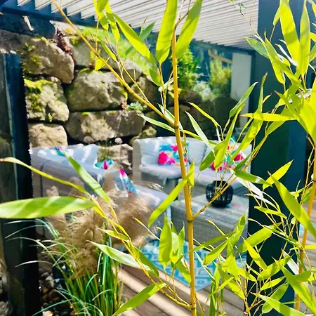 Le Repaire Du Faon-4 Etoiles-12 Pers-filet Mezzanine-lit Plainfaing