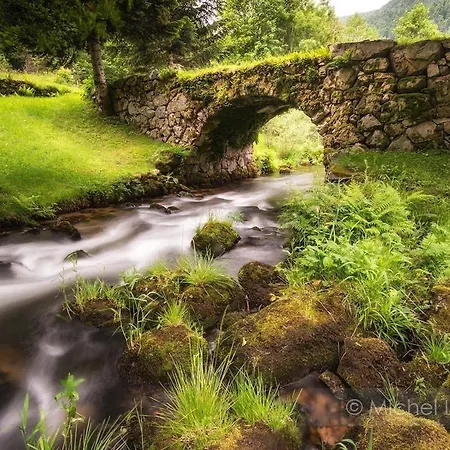 Villa Le Repaire Du Faon-4 Etoiles-12 Pers-filet Mezzanine-lit Plainfaing