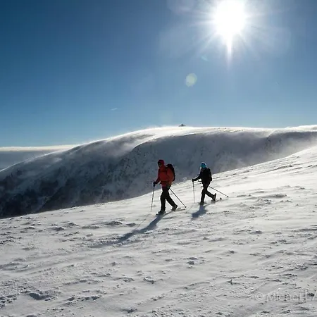 Le Repaire Du Faon-4 Etoiles-12 Pers-filet Mezzanine-lit Plainfaing