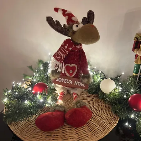 Le Repaire Du Faon-4 Etoiles-12 Pers-filet Mezzanine-lit Villa Plainfaing