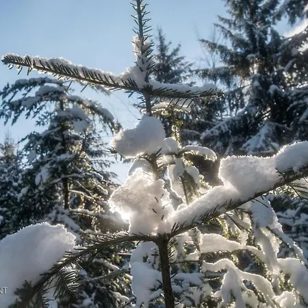 Le Repaire Du Faon-4 Etoiles-12 Pers-filet Mezzanine-lit
